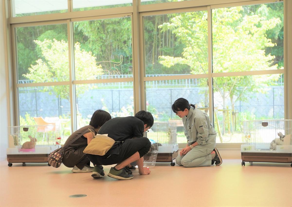 譲渡会の様子3