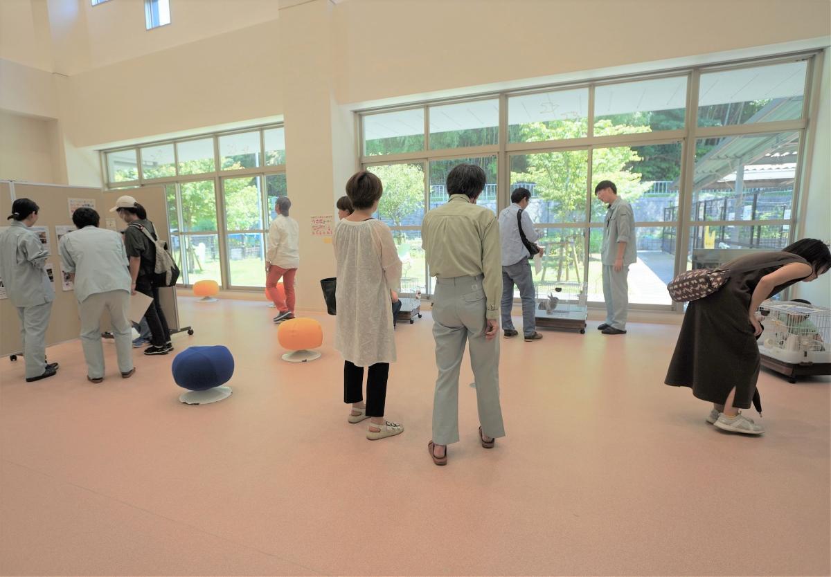 譲渡会の様子2