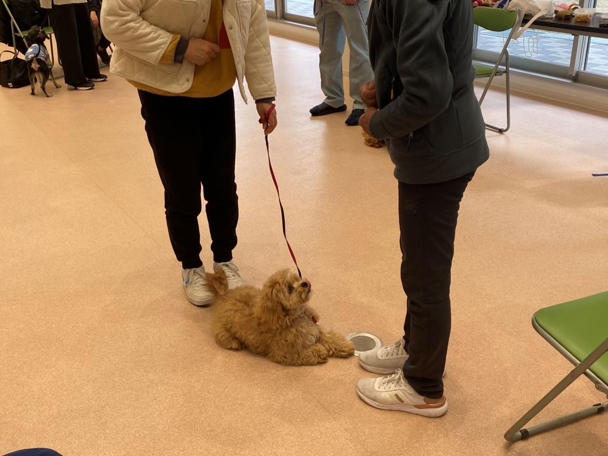 飼い方教室3