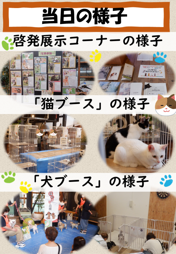 犬猫出張譲渡会2025