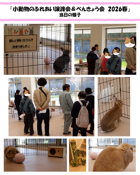 kaisaihoukoku2026shoudoubutu