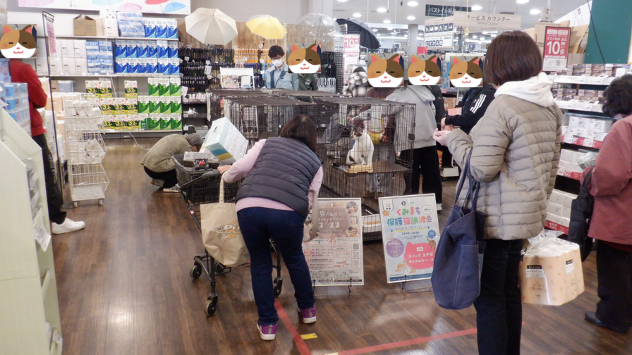 譲渡会写真_第2回くみまち