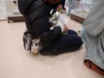 うさぎ譲渡会の様子3