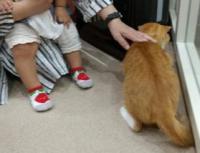 猫とふれあう様子2