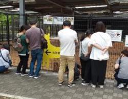 譲渡対象犬紹介の様子1