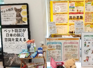 防災展示の様子