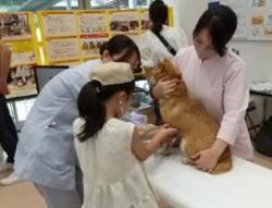 お仕事体験の様子1