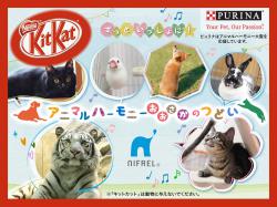 協賛品の画像2