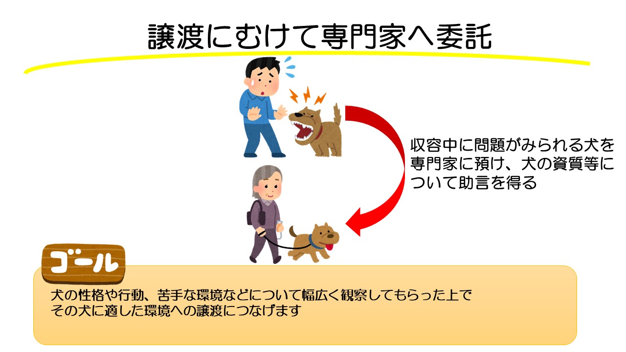 譲渡に向けて専門家へ委託
