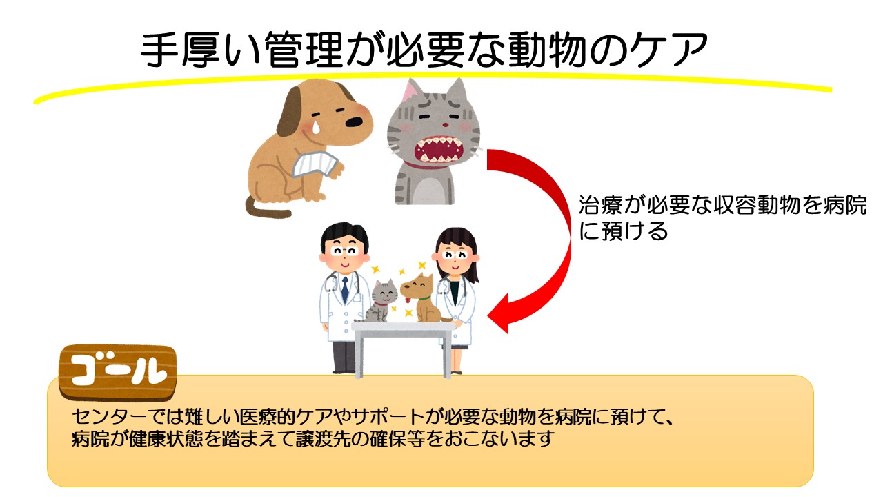 手厚い管理が必要な動物のケア