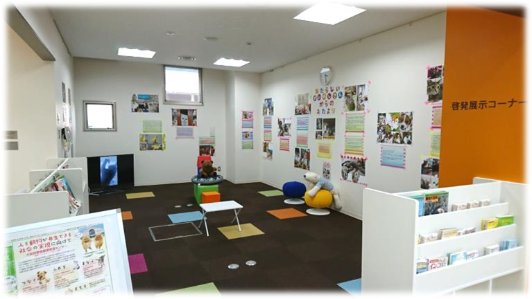 展示コーナー