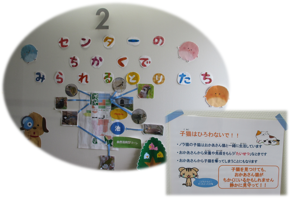掲示物