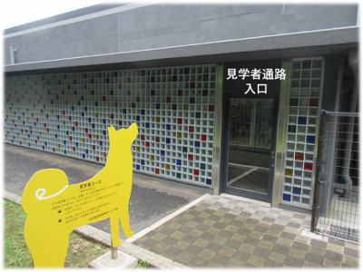 見学者通路