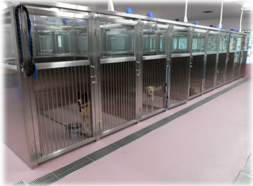 犬の部屋
