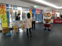 来場者へのチラシや啓発物品の配布