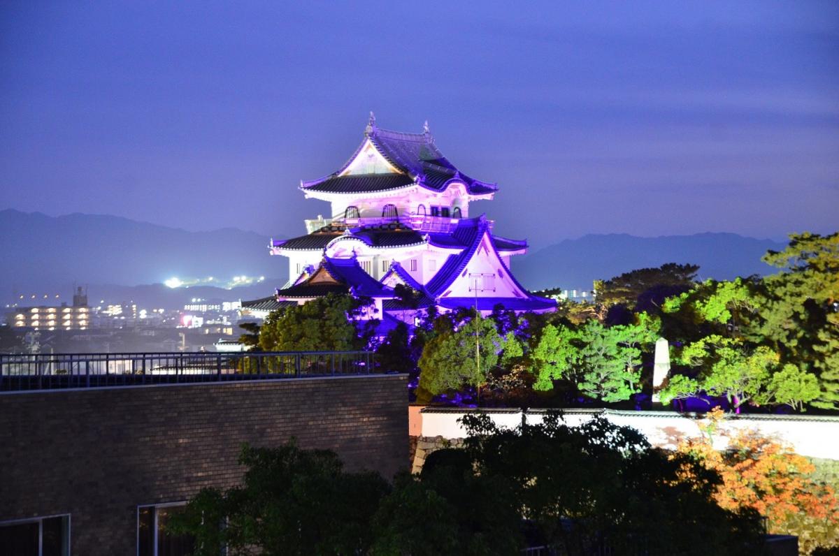 岸和田城パープルライトアップ写真