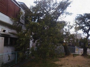 地震の被害状況