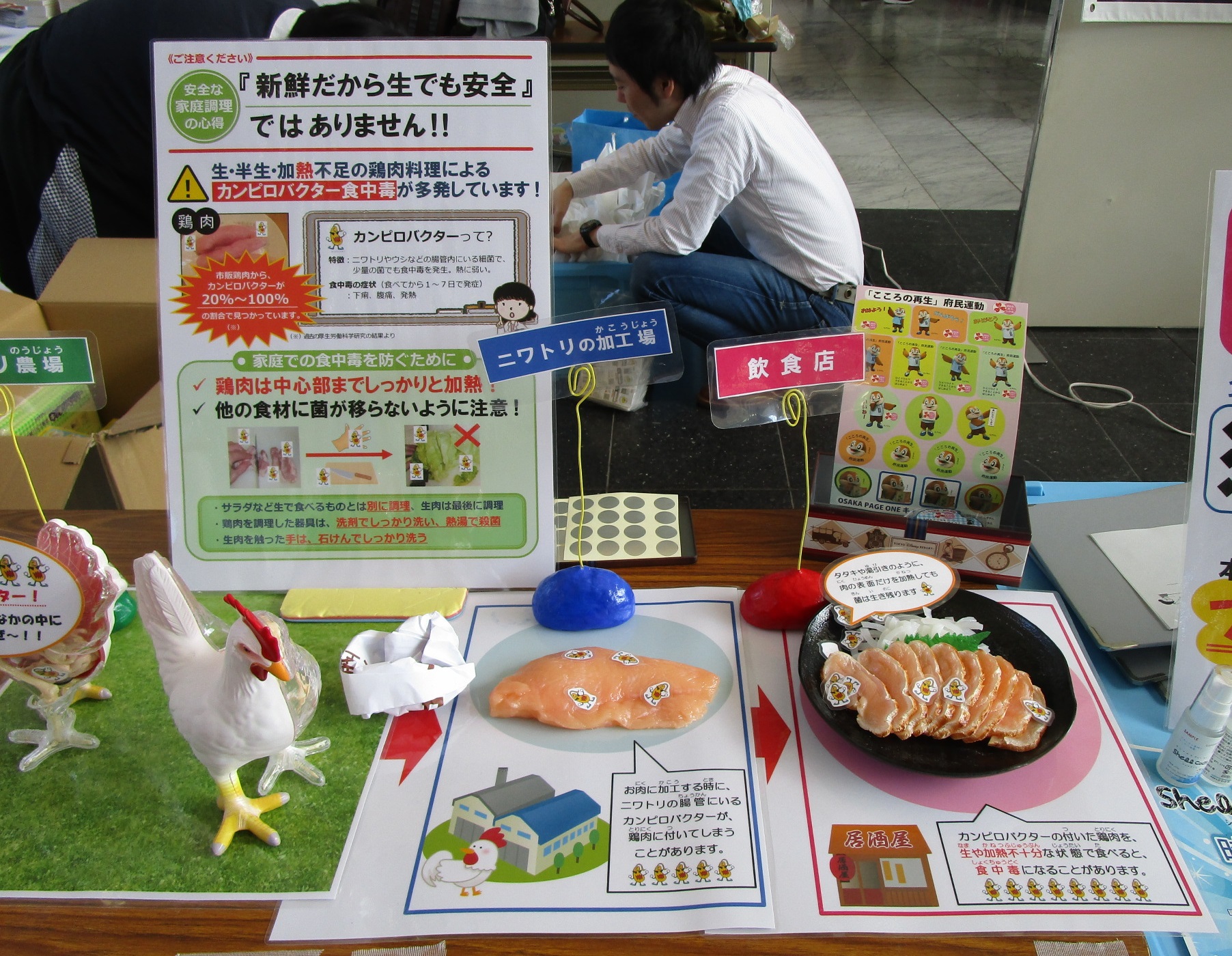 鶏の模型展示