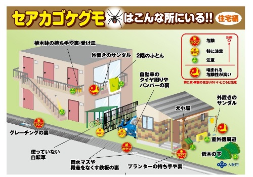 セアカゴケグモにご注意（住宅編）