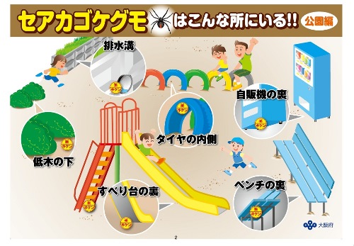 セアカゴケグモにご注意（公園編）