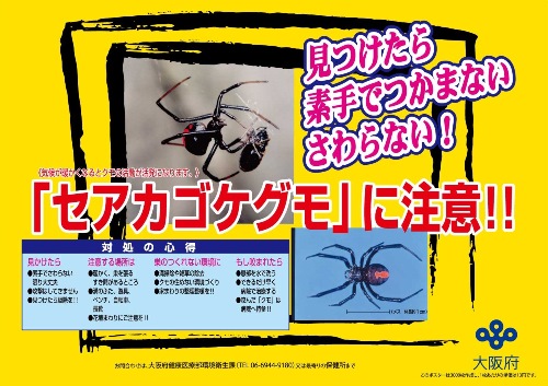 セアカゴケグモに注意ポスターの画像