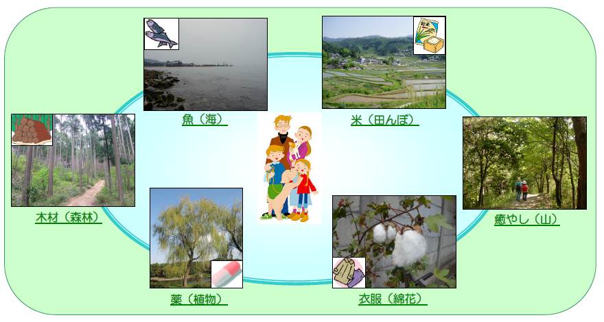 たくさんお生き物からの恵みを表した図