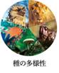 種の多様性