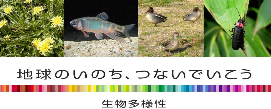 地球のいのち、つないでいこう　生物多様性