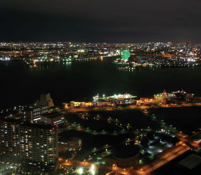 大阪府環境白書2011表紙の画像