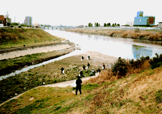 河川の写真
