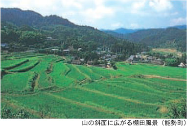 山の斜面に広がる棚田風景（能勢町）