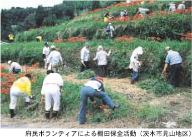 府民ボランティアによる棚田保全活動（茨木市見山地区）