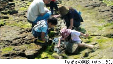 「なぎさの楽校（がっこう）」の様子