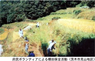 府民ボランティアによる棚田保全活動（茨木市見山地区）