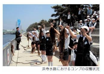 コンブ養殖による水環境改善実験の様子