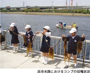 コンブの育成による水環境改善実験の様子