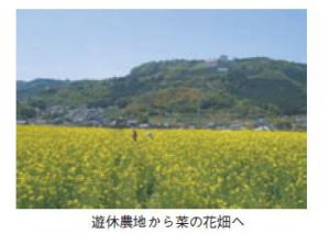 遊休農地から菜の花畑へ