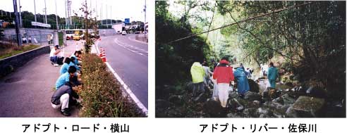 アドプト・ロード・横山とアドプト・リバー・佐保川の写真