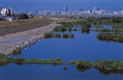 Yodo River