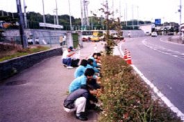 Adopt a Road 