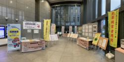 堺市役所でのパネル展