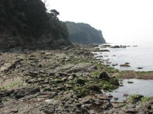 小島自然海浜保全地区の様子2