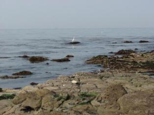 長松自然海浜保全地区写真
