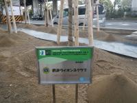 看板