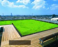 東邦レオ写真2