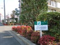 樹木と看板