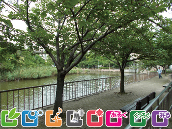 城北公園