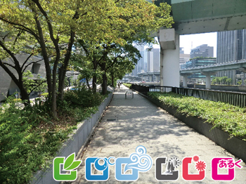 中之島北側遊歩道