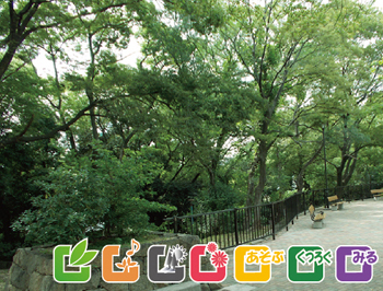 生玉公園