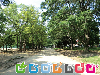 住之江公園内東側通路